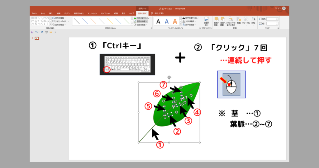 葉っぱの書き方30