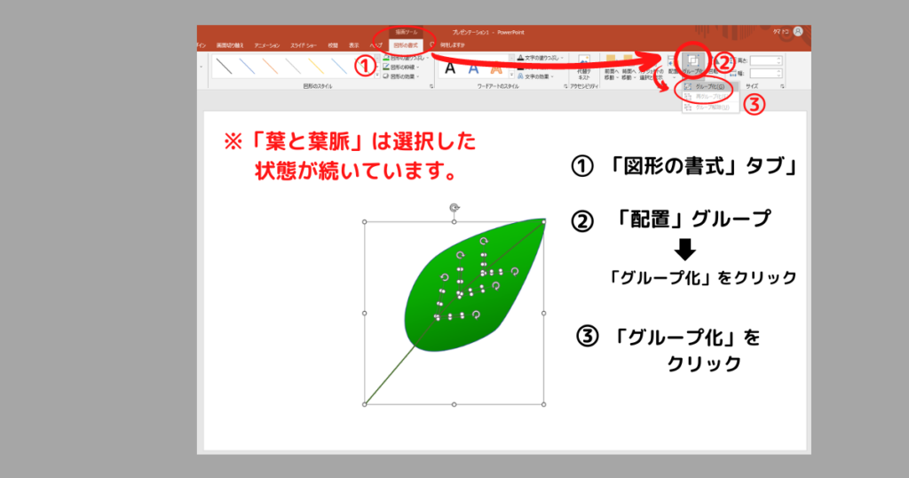 (a) 「茎」と「葉脈」の色付け33