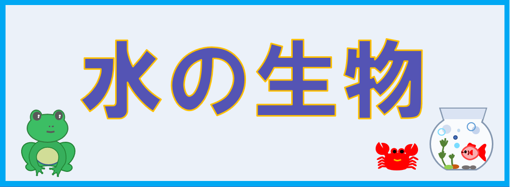 水の生物カテゴリー・キャッチアップ画像